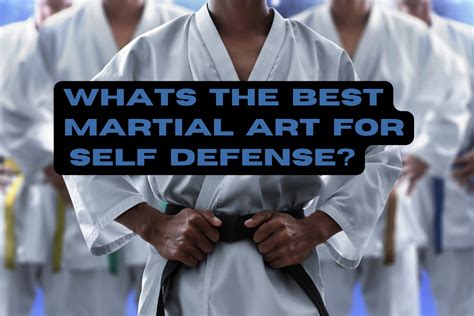 Whats the Best Martial Art: A Multi-Perspective Analysis